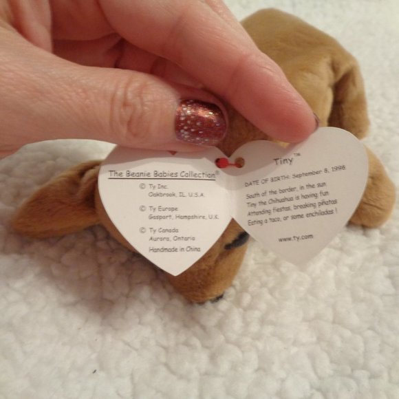 TY Beanie Baby Tiny The Chihuahua - Picture 8 of 11